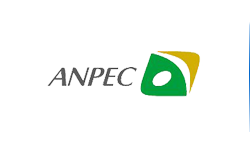 Anpec Electronics是怎樣的一家公司?
